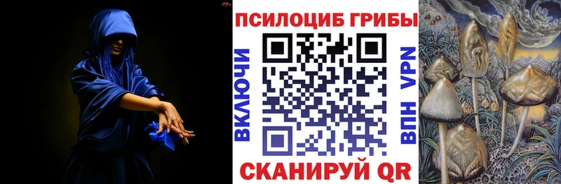 кракен онион  Красноармейск  Галлюциногенные грибы Magic Shrooms 